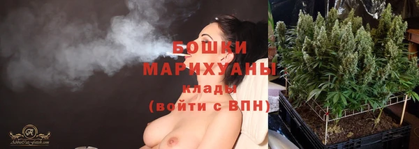 крисы Баксан