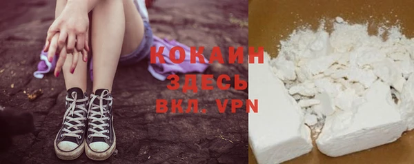 крисы Баксан