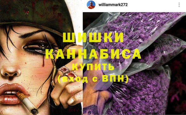 крисы Баксан
