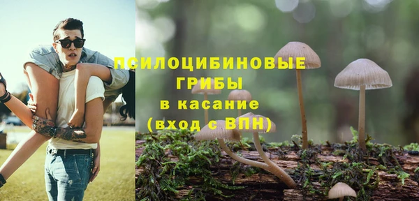 крисы Баксан