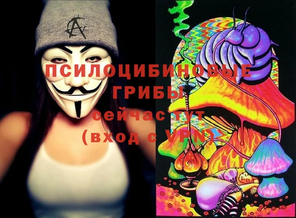 крисы Баксан