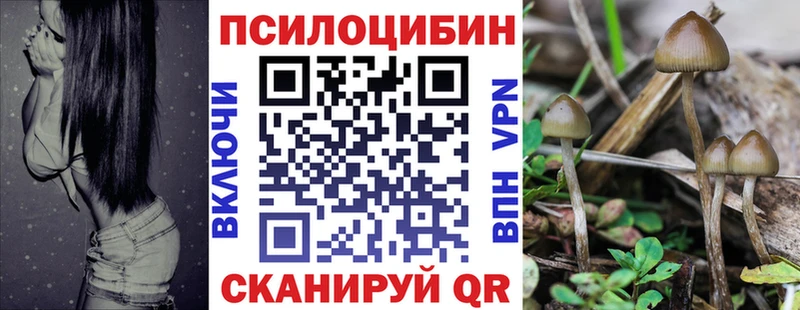 купить   Воркута  Псилоцибиновые грибы Psilocybine cubensis 