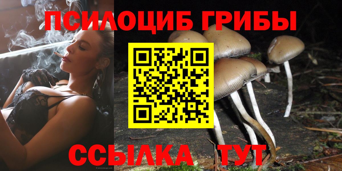Галлюциногенные грибы мицелий Воркута