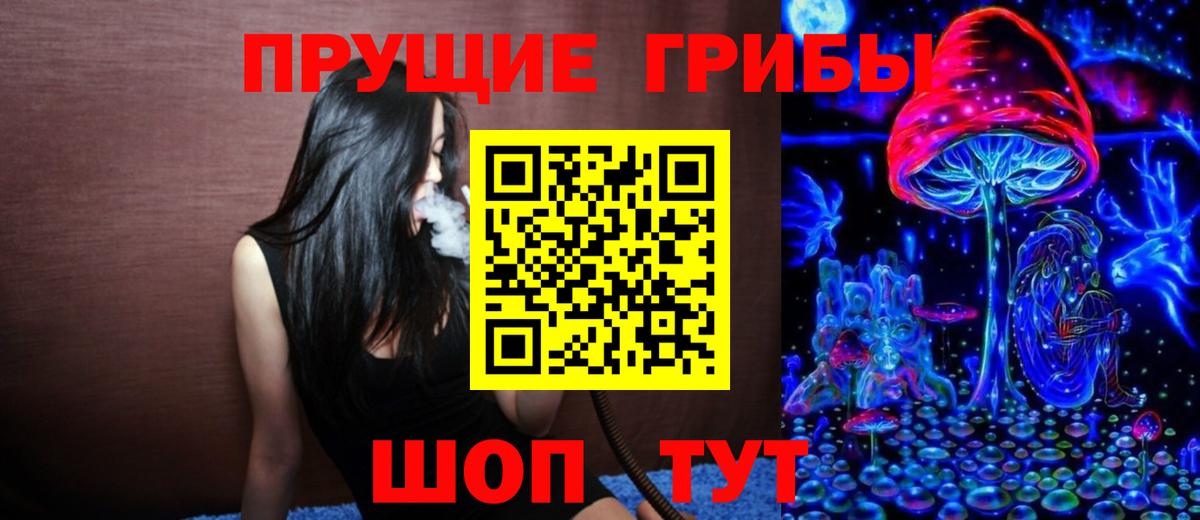 Галлюциногенные грибы мицелий  Воркута  Псилоцибиновые грибы GOLDEN TEACHER 